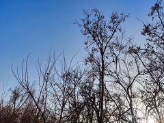 -北运河水利风景区