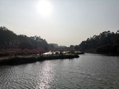 -南国桃园旅游度假区