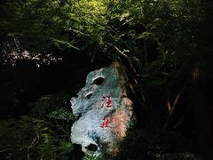 -浙江西子宾馆·牡丹厅