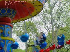 -上海共青森林公园