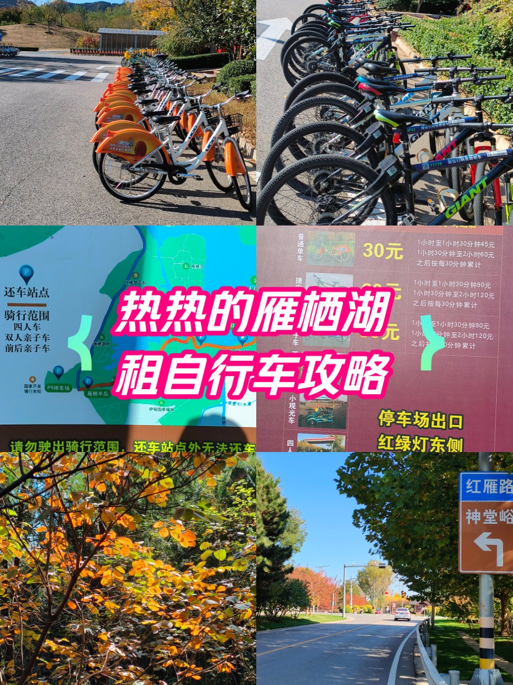玄武湖可以骑自行车吗（玄武湖可以骑自行车吗多少钱）《玄武湖能骑自行车吗》
