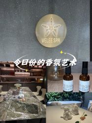 -VELEE·SPA高定疗愈会所