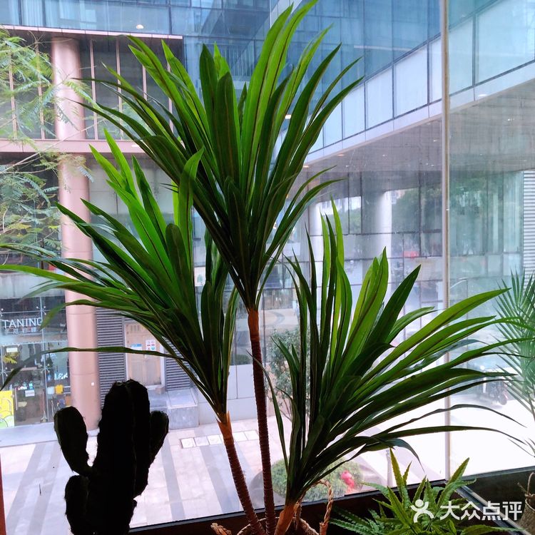 本土粤式养生下午茶🍵这里的糖水真的够惊囍!