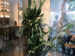 门面-喜茶(深圳福田星河COCO Park店)