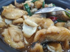 红焖鲈鱼-江东鲈鱼馆(正江东)