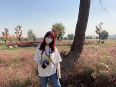 -汉长安城未央宫国家考古遗址公园