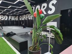 -成杰格斗·拳击·柔术·防身术(建设路店)