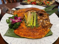香茅草烤罗非鱼-紫滇源云南生态菜(丹凤街店)