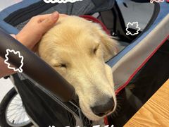 -沈阳铁西万象汇