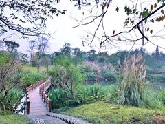 -桤木河湿地公园