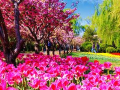 -石家庄市植物园