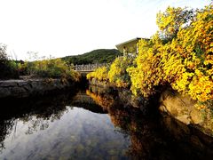 -广州市石门国家森林公园