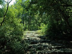 -阳台山自然风景区