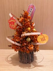 -妈咪呗呗月子中心(市心店)