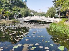 -映月湖公园