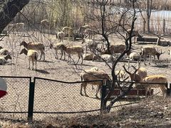 -大兴滨河森林公园