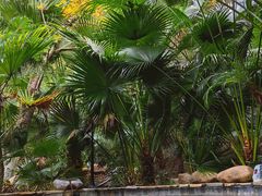 -韶关经律论国际酒店温泉