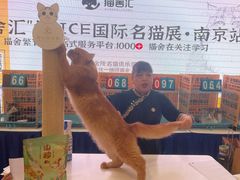 -金茂览秀城