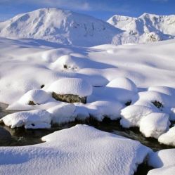 -薇兰专业脱毛连锁机构