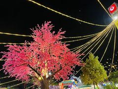 -凤城·食都