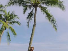 -亚龙湾喜来登·美景台大堂吧