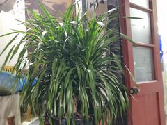 -做了不起的80后