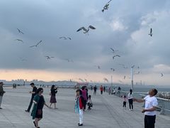 -东港音乐喷泉广场