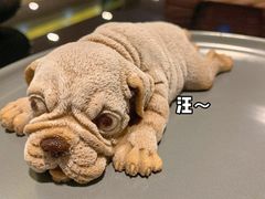-赫帝拉航空主题餐厅(南宁店)