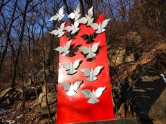 -阳台山自然风景区