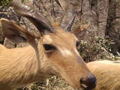 -陕西自然博物馆