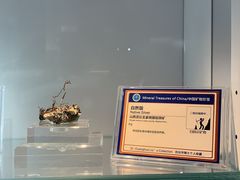 -中国地质大学逸夫博物馆