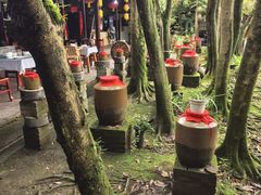 -土砂锅生态山庄·非遗砂锅雅鱼