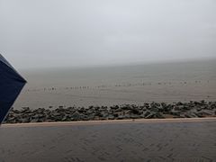 -深圳湾公园(南山区)