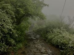 -阳台山自然风景区