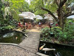 -Fern Forest Cafe