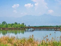 -野鸭湖国家湿地公园