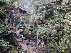 -藏龙百瀑风景区