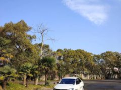 -胜华驾校·小猫学车(银都店)