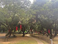 -燕晗山郊野公园