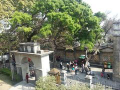 -赤坎古镇影视城