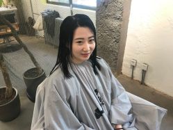 -大象造型