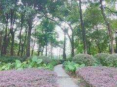 -黄埔荔枝公园