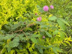 -桃花涧