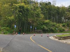 -莫干山风景区