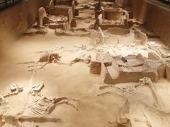 -洛阳周王城天子驾六博物馆