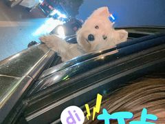 -汪星球宠物生活馆