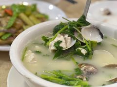 沙白豆腐汤-老字号蛇口德记烧腊饭店·海鲜加工