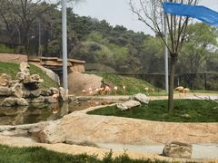 -沈阳森林动物园