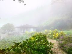 -鼓岭旅游度假区