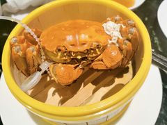 -蝶园·装修中(BFC外滩金融中心店)